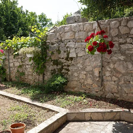 Alma * Novi Vinodolski